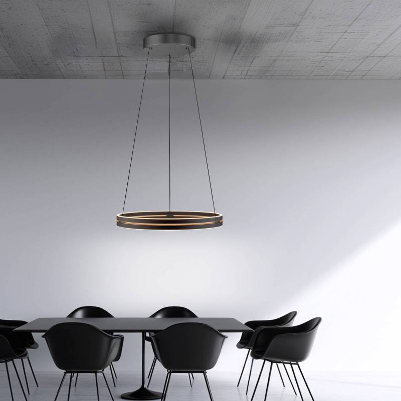 PURE LED-Hängeleuchte E-Loop, schwarz, Ø 70 cm Aluminium CCT von Pure