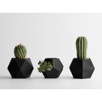 Geometric Cactus Planter Set - 3D Printed Pla Pots in A Modular Design Geometric Cactus Planter Set - 3D Printed Pla Pots in A Modular Design von PurePrintDE