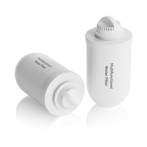 Purewell K8001 Multifunktionale Wasserfilterelemente, Ersatzfilter für Purewell verbessertes PW-FH/PW-FH-CF/PW-FH-FT Schwerkraft-Wasserfiltersystem, 2 Stück von Purewell