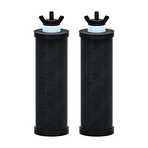 Purewell PB-2 schwarze Reinigungselemente, Ersatzfilter für PB-2/BB9-2 Reinigungselemente und Schwerkraft-Wasserfiltersystem (2 Stück) von Purewell