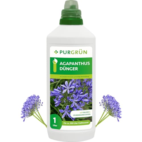 Purgrün Agapanthus-Dünger 1 Liter von Purgrün