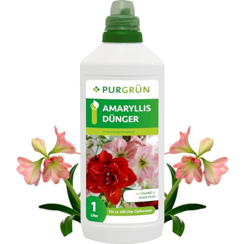 Purgrün Amaryllis-Dünger 1 Liter von Purgrün