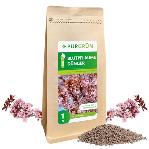 Purgrün Bio-Blutpflaume-Dünger 1 kg von Purgrün