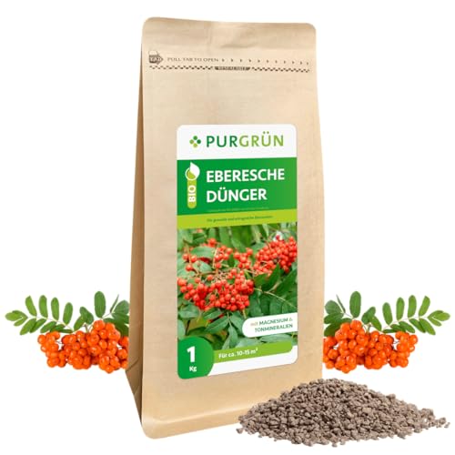 Purgrün Bio-Eberesche-Dünger 1 kg von Purgrün