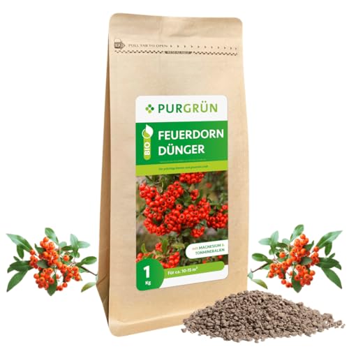 Purgrün Bio-Feuerdorn-Dünger 1 kg von Purgrün