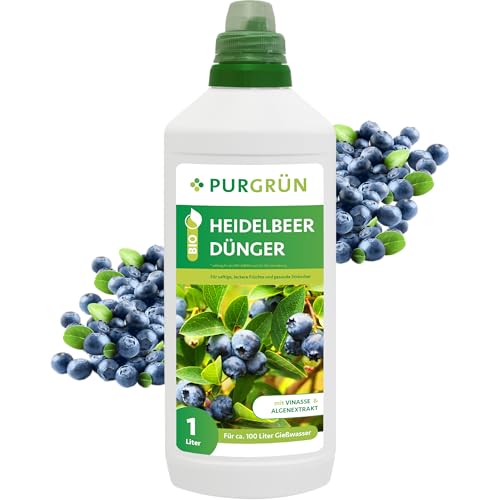 Purgrün® Bio-Heidelbeerdünger 1 Liter – Organische Rezeptur – Premium-Flüssigdünger – NPK 4+1+7 – Mit Algenextrakt & Vinasse – Kalium für aromatische Heidelbeeren – Ohne tierische Inhaltsstoffe Purgrün® Bio-Heidelbeerdünger 1 Liter – Organische Rezeptur – Premium-Flüssigdünger – NPK 4+1+7 – Mit Algenextrakt & Vinasse – Kalium für aromatische Heidelbeeren – Ohne tierische Inhaltsstoffe von Purgrün