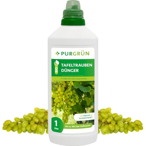 Purgrün® Bio-Tafeltrauben-Dünger 1 Liter – Organische Rezeptur – Premium-Flüssigdünger – NPK 4+1+7 – Mit Algenextrakt & Vinasse – Extra Kalium für saftig süße Trauben – Ohne tierische Inhaltsstoffe Purgrün® Bio-Tafeltrauben-Dünger 1 Liter – Organische Rezeptur – Premium-Flüssigdünger – NPK 4+1+7 – Mit Algenextrakt & Vinasse – Extra Kalium für saftig süße Trauben – Ohne tierische Inhaltsstoffe von Purgrün