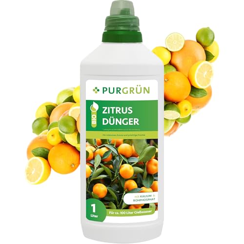 Purgrün® Bio-Zitrusdünger 1 Liter – Gesundes Wachstum dank rein natürlicher Inhaltsstoffe – Fördert die Blütenbildung mit extra Kalium – Ergiebiges Konzentrat für 100 Liter Gießwasser Purgrün® Bio-Zitrusdünger 1 Liter – Gesundes Wachstum dank rein natürlicher Inhaltsstoffe – Fördert die Blütenbildung mit extra Kalium – Ergiebiges Konzentrat für 100 Liter Gießwasser von Purgrün