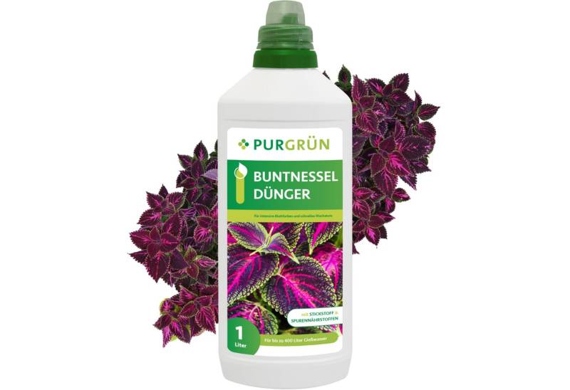 Purgrün Blumendünger Purgrün Buntnessel Dünger, NPK 10+4+6, Blattfärbung, 1L, Flüssigdünger, Mit allen wichtigen Haupt- und Spurennährstoffen von Purgrün