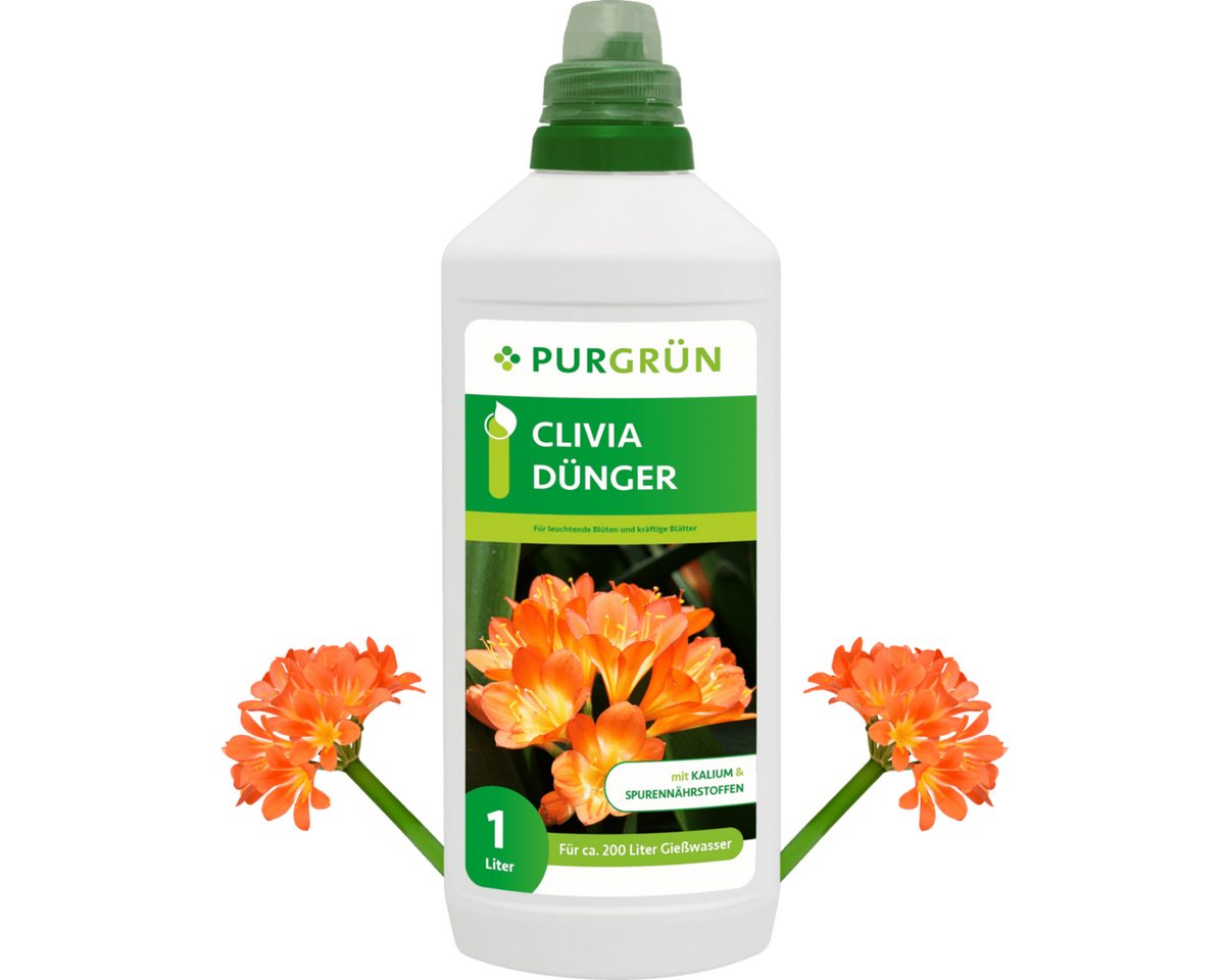 Purgrün Blumendünger Purgrün Clivia Dünger, NPK 3+5+7, Kalium gegen Trockenstress, 1L, Flüssigdünger, Fördert kräftiges und kompaktes Wachstum Purgrün Blumendünger Purgrün Clivia Dünger, NPK 3+5+7, Kalium gegen Trockenstress, 1L, Flüssigdünger, Fördert kräftiges und kompaktes Wachstum von Purgrün