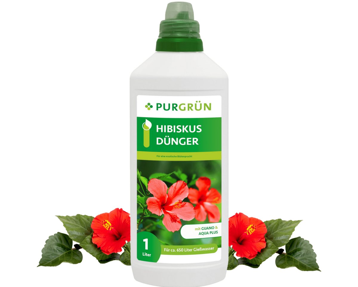 Purgrün Blumendünger Purgrün Hibiskus Dünger, NPK 8+8+6, Guano, 1 Liter, Flüssigdünger, Fördert die Wasseraufnahme mit Aqua Plus Purgrün Blumendünger Purgrün Hibiskus Dünger, NPK 8+8+6, Guano, 1 Liter, Flüssigdünger, Fördert die Wasseraufnahme mit Aqua Plus von Purgrün