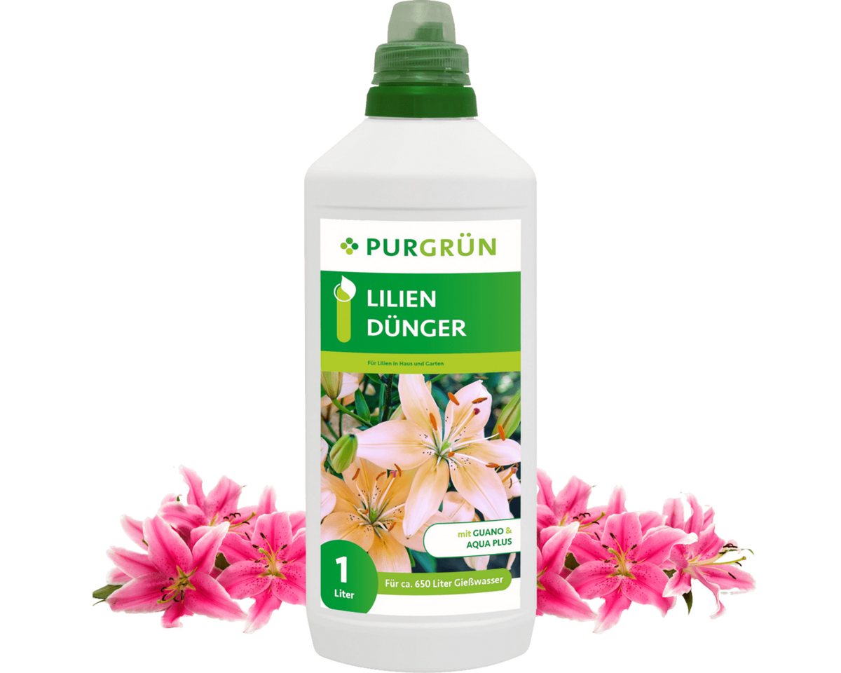 Purgrün Blumendünger Purgrün Lilien Dünger, NPK 8+8+6, Guano, Blütenpflege, 1L, Flüssigdünger, Fördert die Wasseraufnahme mit Aqua Plus Purgrün Blumendünger Purgrün Lilien Dünger, NPK 8+8+6, Guano, Blütenpflege, 1L, Flüssigdünger, Fördert die Wasseraufnahme mit Aqua Plus von Purgrün