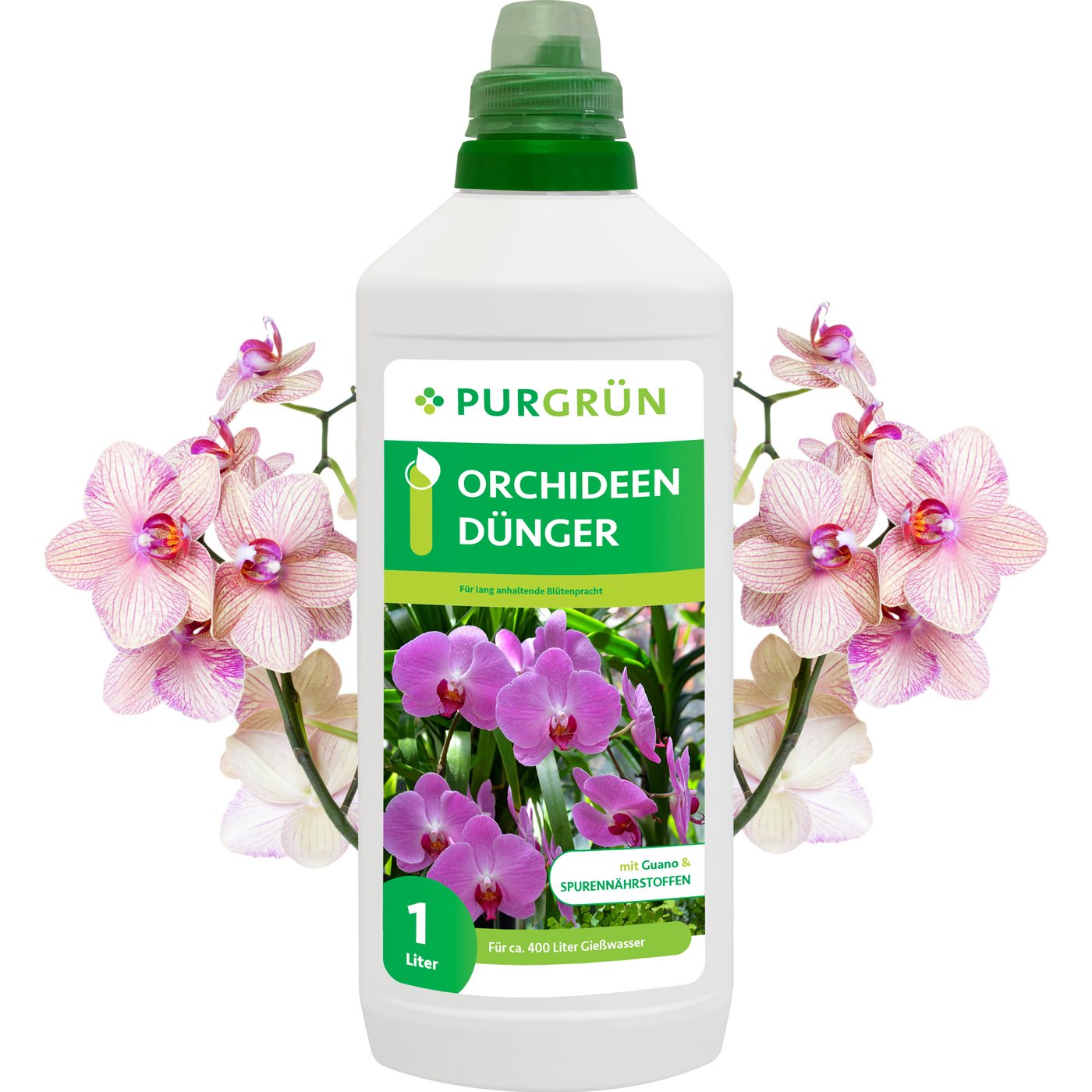 Purgrün Blumendünger Purgrün Orchideen Dünger, NPK 3+5+7, für Blütenpracht, 1L, Flüssigdünger, Gesunde Wurzeln durch optimalen Phosphoranteil Purgrün Blumendünger Purgrün Orchideen Dünger, NPK 3+5+7, für Blütenpracht, 1L, Flüssigdünger, Gesunde Wurzeln durch optimalen Phosphoranteil von Purgrün