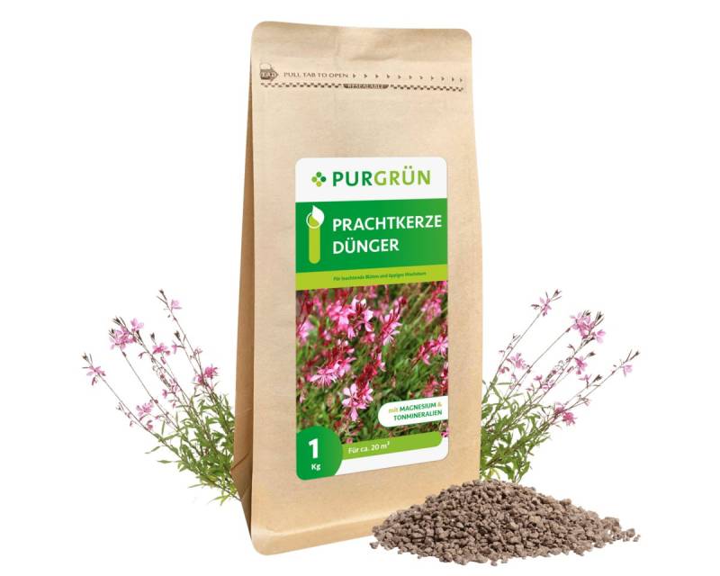 Purgrün Blumendünger Purgrün Prachtkerze Dünger, NPK 5+4+6, für Blütenbildung, 1 kg, Krümelgranulat, Extra Kalium für kräftige, gesunde Nadelgehölze von Purgrün