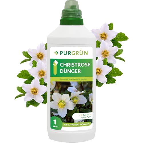 Purgrün® Christrose-Dünger 1 Liter – Leuchtende Blüten dank Guano – Premium-Dünger mit Spurennährstoffen – Verbessert die Wasserverteilung – Ergiebiges Konzentrat für ca 600 Liter Gießwasser von Purgrün