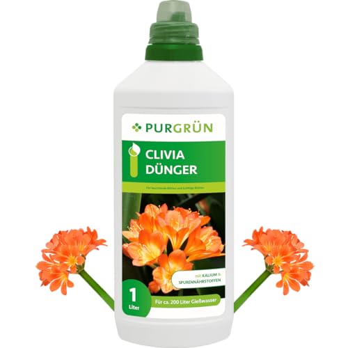 Purgrün Clivia-Dünger 1 Liter von Purgrün