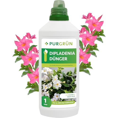 Purgrün® Dipladenia-Dünger 1 Liter – Organisch-mineralische Rezeptur – Premium-Flüssigdünger mit Spurennährstoffen – NPK 8+8+6 – Mit Guano & Aqua Plus – Für leuchtende Blüten & gesundes Wachstum Purgrün® Dipladenia-Dünger 1 Liter – Organisch-mineralische Rezeptur – Premium-Flüssigdünger mit Spurennährstoffen – NPK 8+8+6 – Mit Guano & Aqua Plus – Für leuchtende Blüten & gesundes Wachstum von Purgrün
