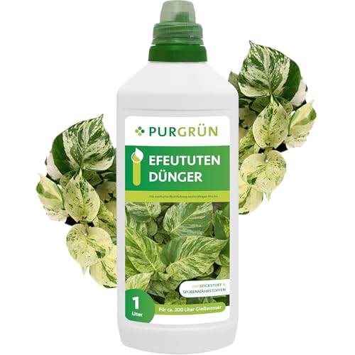 Purgrün® Efeututen-Dünger 1 Liter – Intensive Blattfärbung dank Spurennährstoffe – Stärkt die Widerstandskraft – Schneller Wirkungseintritt – Ergiebiges Konzentrat für ca 200 Liter Gießwasser Purgrün® Efeututen-Dünger 1 Liter – Intensive Blattfärbung dank Spurennährstoffe – Stärkt die Widerstandskraft – Schneller Wirkungseintritt – Ergiebiges Konzentrat für ca 200 Liter Gießwasser von Purgrün