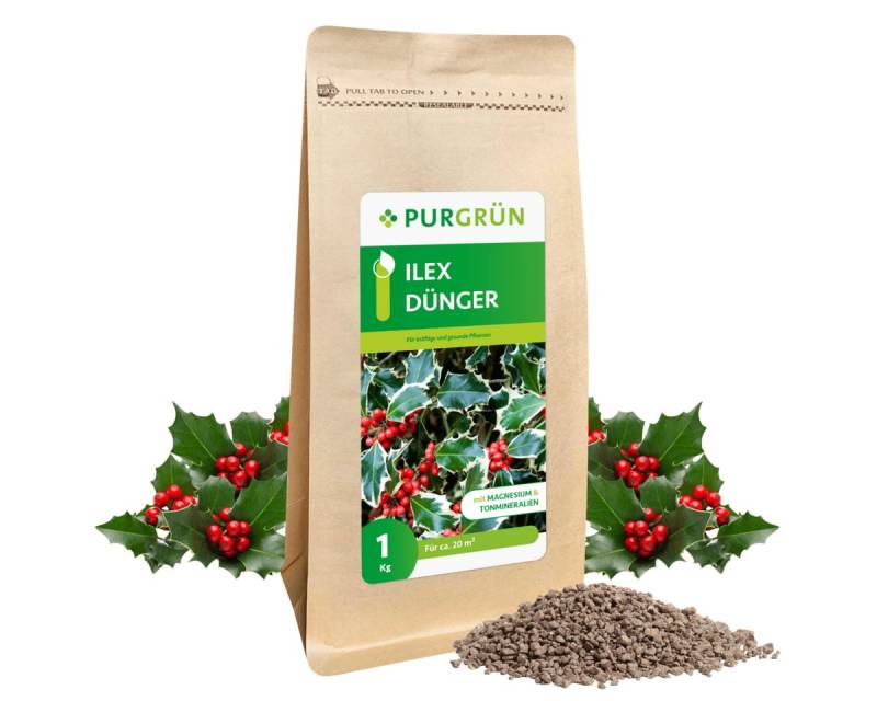 Purgrün Gartendünger Purgrün Ilex Dünger, NPK 5+4+6, Magnesium, 1 kg, Krümelgranulat, Extra Kalium für widerstandsfähigen, gesunden Ilex von Purgrün