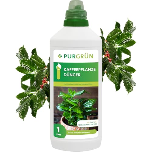 Purgrün® Kaffeepflanze-Dünger 1 Liter – Schnelles Wachstum & prächtige Blüten dank Guano – Premium-Flüssigdünger mit Spurennährstoffen – Stärkt die Widerstandskraft – Für 400 Liter Gießwasser Purgrün® Kaffeepflanze-Dünger 1 Liter – Schnelles Wachstum & prächtige Blüten dank Guano – Premium-Flüssigdünger mit Spurennährstoffen – Stärkt die Widerstandskraft – Für 400 Liter Gießwasser von Purgrün