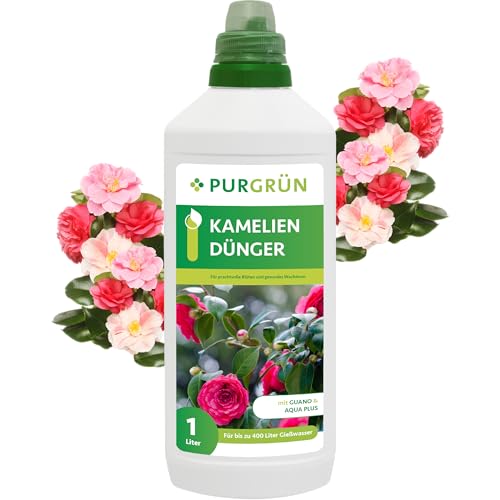 Purgrün® Kameliendünger 1 Liter – Organisch-mineralische Rezeptur – Premium-Flüssigdünger mit Spurennährstoffen – NPK 8+8+6 – Mit Guano & Aqua Plus – Für strahlende Blüten Purgrün® Kameliendünger 1 Liter – Organisch-mineralische Rezeptur – Premium-Flüssigdünger mit Spurennährstoffen – NPK 8+8+6 – Mit Guano & Aqua Plus – Für strahlende Blüten von Purgrün
