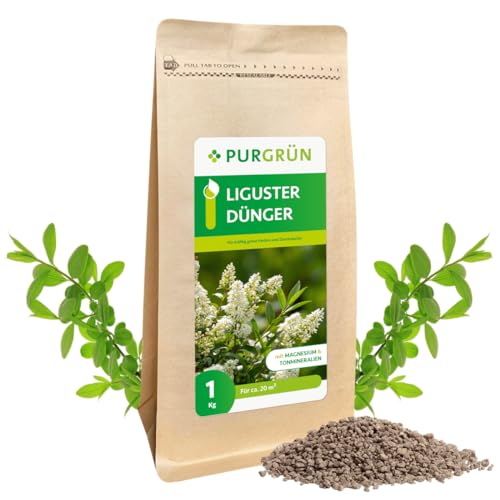 Purgrün Liguster-Dünger 1 kg von Purgrün