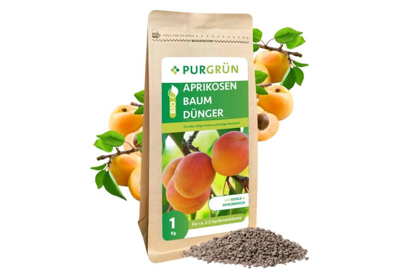 Purgrün Obstdünger Purgrün Bio Aprikosenbaum Dünger, NPK 6+3+8, Magnesium, 1 kg, Bio-Krümelgranulat, Gesundes Wachstum durch lebende Mikroorganismen (Mykorrhiza) von Purgrün