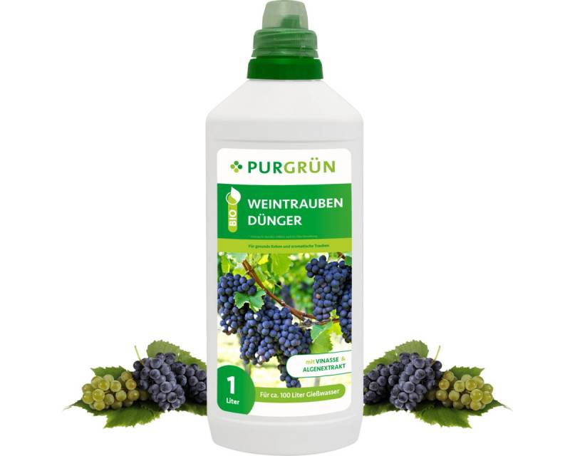 Purgrün Obstdünger Purgrün Bio Weintrauben Dünger, NPK 4+1+7, Algenextrakt, 1 Liter, Flüssigdünger, extra Kalium für süße, aromatische Trauben von Purgrün