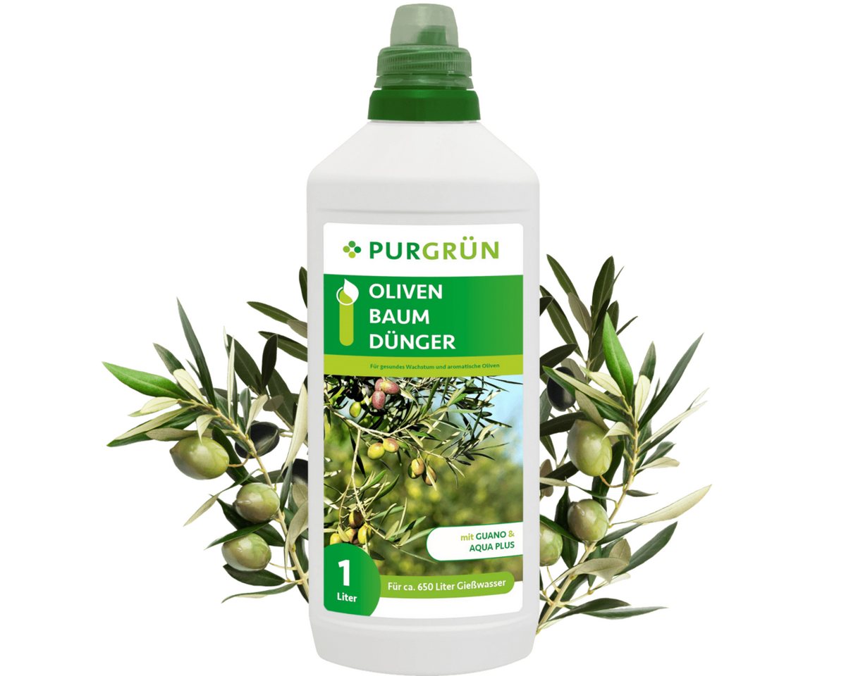 Purgrün Obstdünger Purgrün Olivenbaum Dünger, NPK 8+8+6, für gesunde Oliven, 1L, Flüssigdünger, Fördert die Wasseraufnahme mit Aqua Plus Purgrün Obstdünger Purgrün Olivenbaum Dünger, NPK 8+8+6, für gesunde Oliven, 1L, Flüssigdünger, Fördert die Wasseraufnahme mit Aqua Plus von Purgrün