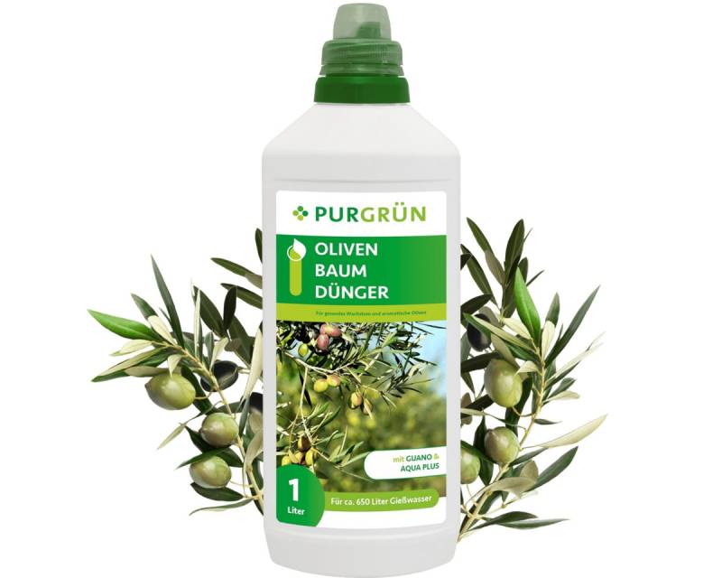Purgrün Obstdünger Purgrün Olivenbaum Dünger, NPK 8+8+6, für gesunde Oliven, 1L, Flüssigdünger, Fördert die Wasseraufnahme mit Aqua Plus von Purgrün