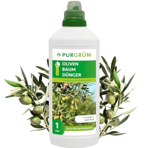 Purgrün Olivenbaum Dünger | Mineralischer Flüssigdünger für aromatische Oliven | Mit Guano & Aqua Plus | Profi Dünger für gesundes Wachstum | 1 Liter von Purgrün