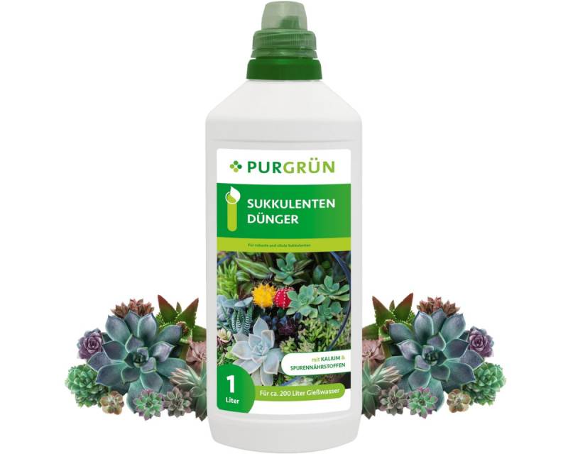 Purgrün Pflanzendünger Purgrün Sukkulenten Dünger, NPK 3+5+7, reduziert Trockenstress, 1L, Flüssigdünger, Fördert kräftiges und kompaktes Wachstum aller Sukkulenten von Purgrün