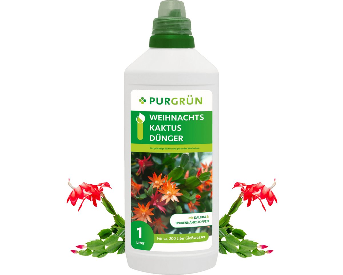 Purgrün Pflanzendünger Purgrün Weihnachtskaktus Dünger, NPK 3+5+7, für Blütenbildung, 1L, Flüssigdünger, Fördert kräftiges und kompaktes Wachstum Purgrün Pflanzendünger Purgrün Weihnachtskaktus Dünger, NPK 3+5+7, für Blütenbildung, 1L, Flüssigdünger, Fördert kräftiges und kompaktes Wachstum von Purgrün