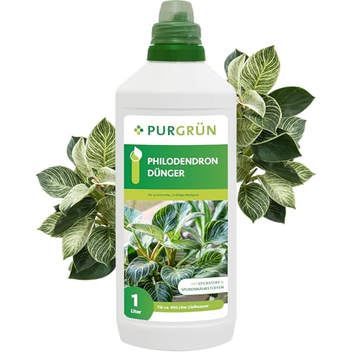 Purgrün® Philodendron-Dünger 1 Liter – Fördert schnelles, gesundes Wachstum – Prächtige Blattfärbung dank Spurennährstoffen – Stärkt die Widerstandskraft – Konzentrat für ca 400 Liter Gießwasser Purgrün® Philodendron-Dünger 1 Liter – Fördert schnelles, gesundes Wachstum – Prächtige Blattfärbung dank Spurennährstoffen – Stärkt die Widerstandskraft – Konzentrat für ca 400 Liter Gießwasser von Purgrün