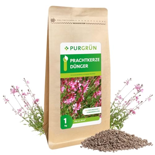 Purgrün Prachtkerze-Dünger 1 kg von Purgrün