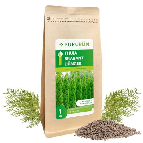 Purgrün Thuja-Brabant-Dünger 1 kg von Purgrün