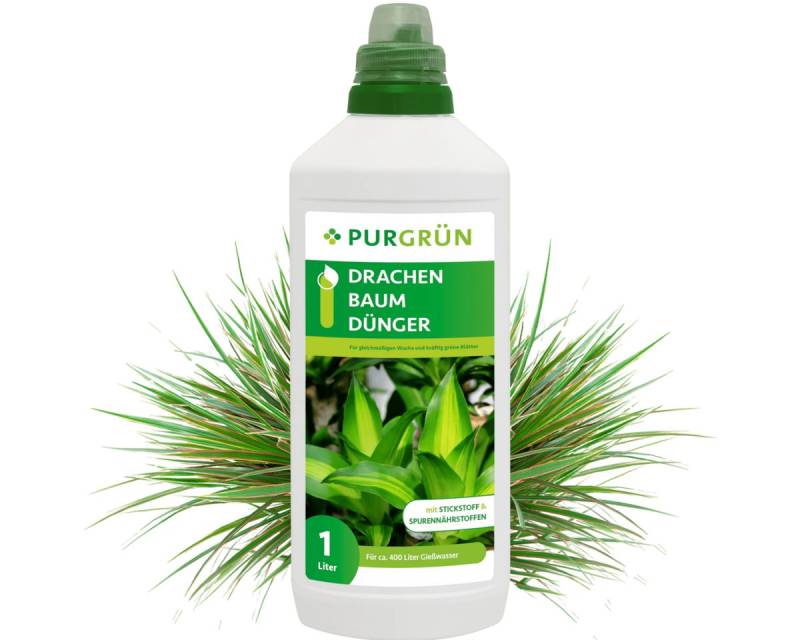 Purgrün Universaldünger Purgrün Drachenbaum Dünger, NPK 10+4+6, grüne Blätter, 1L, Flüssigdünger, Mit allen wichtigen Haupt- und Spurennährstoffen von Purgrün