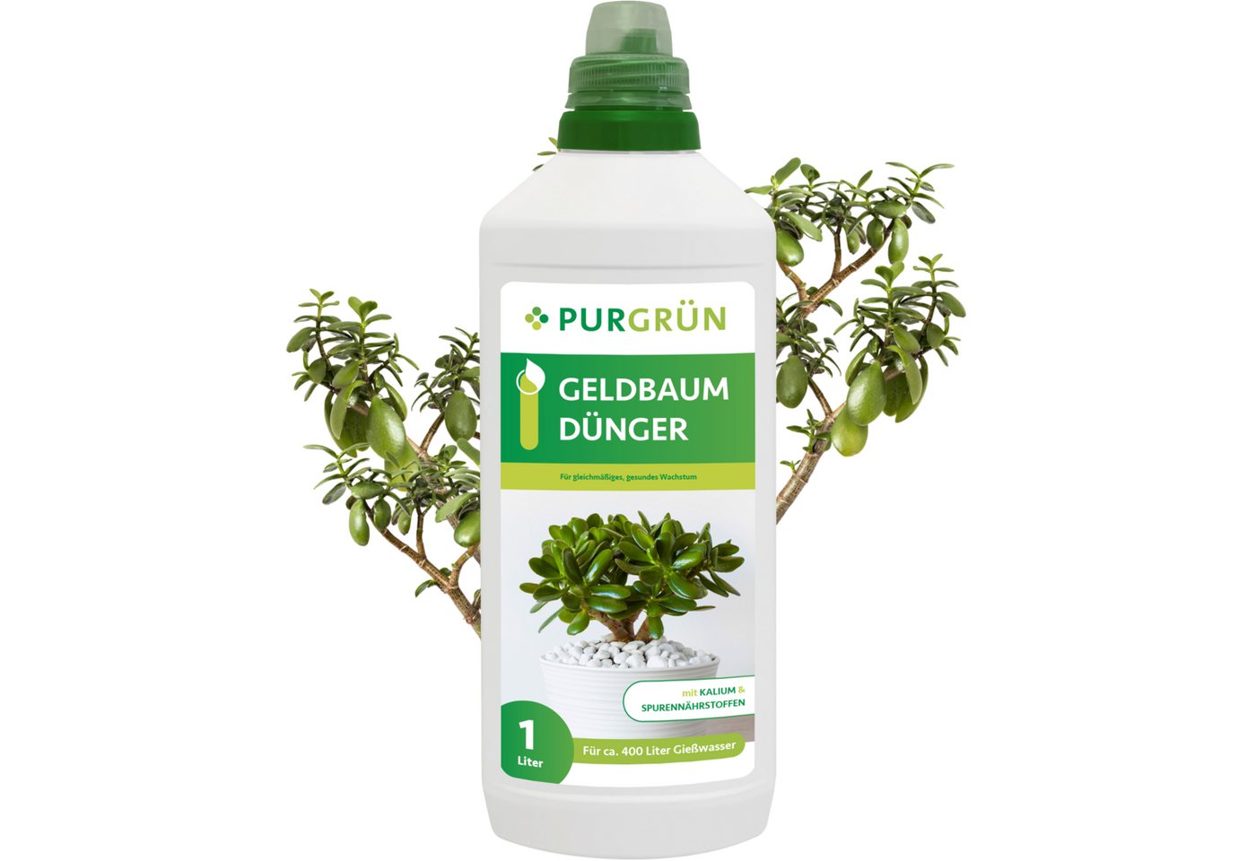Purgrün Universaldünger Purgrün Geldbaum Dünger, NPK 3+5+7, Kalium gegen Trockenstress, 1L, Flüssigdünger, Fördert kräftiges und kompaktes Wachstum Purgrün Universaldünger Purgrün Geldbaum Dünger, NPK 3+5+7, Kalium gegen Trockenstress, 1L, Flüssigdünger, Fördert kräftiges und kompaktes Wachstum von Purgrün