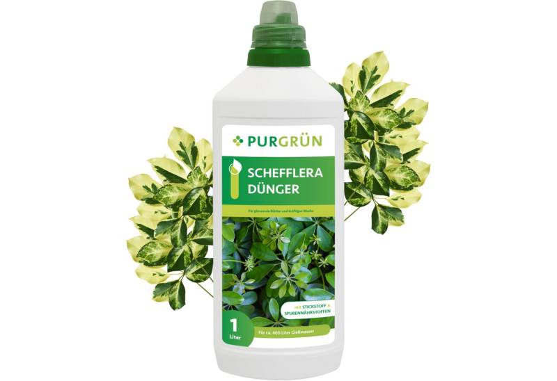 Purgrün Universaldünger Purgrün Schefflera Dünger, NPK 10+4+6, für lebendige Blätter, 1L, Flüssigdünger, Mit allen wichtigen Haupt- und Spurennährstoffen von Purgrün