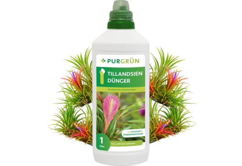 Purgrün Universaldünger Purgrün Tillandsien Dünger, NPK 3+5+7, reduziert Trockenstress, 1L, Flüssigdünger, Fördert kräftiges und kompaktes Wachstum von Tillandsien von Purgrün