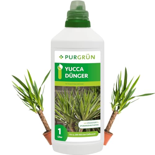 Purgrün Yucca-Dünger 1 Liter von Purgrün