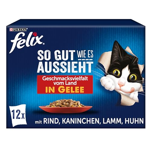 PURINA Felix So gut wie es aussieht in Gelee Geschmacksvielfalt vom Land Katzennassfutter, Portionsbeutel, 12x85g PURINA Felix So gut wie es aussieht in Gelee Geschmacksvielfalt vom Land Katzennassfutter, Portionsbeutel, 12x85g von Felix
