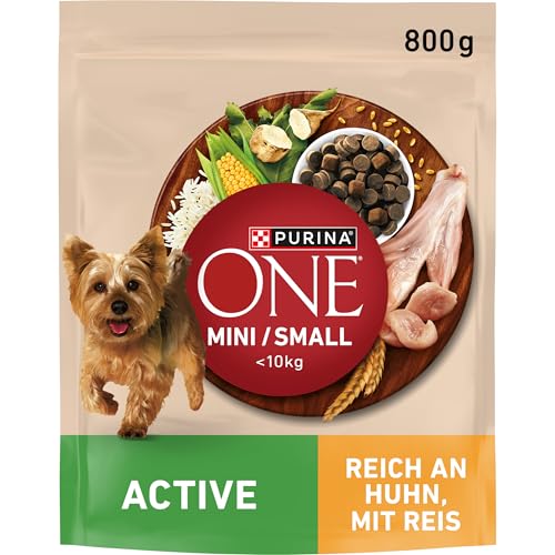 PURINA ONE Mini/Small Active Hundefutter trocken für kleine Hunde, reich an Huhn & Reis, 8er Pack (8 x 800g) von PURINA ONE