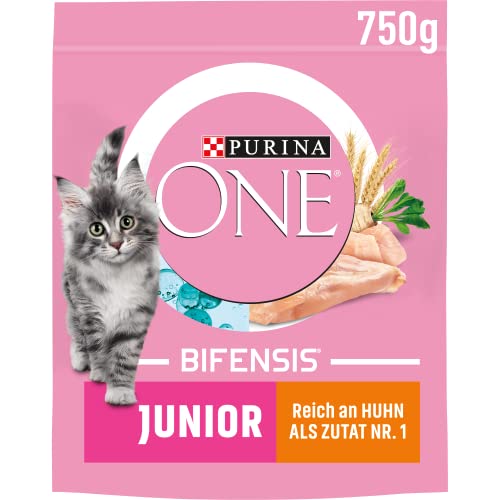 Purina ONE Purina ONE Nestlé PURINA ONE BIFENSIS JUNIOR 1–12 Katzenfutter Kitten trocken, reich an Huhn, 6er Pack (6 x 750g) von Purina ONE