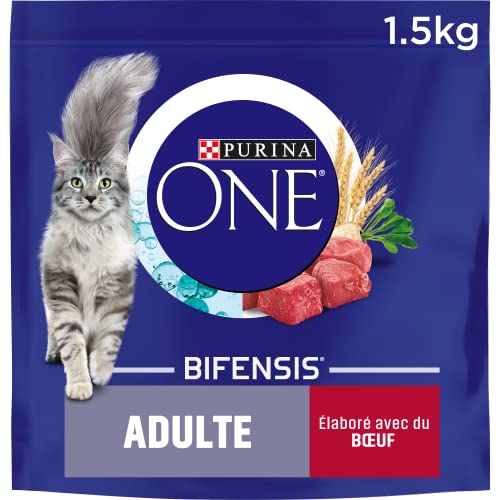 PURINA ONE Bifensis – Trockenfutter mit Rindfleisch für ausgewachsene Katzen | Beutel mit 1,5 kg | 6 Stück von Purina ONE
