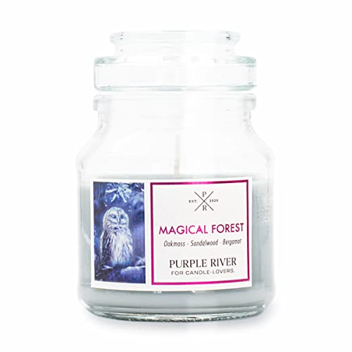 Purple River Kleine Duftkerze im Glas | Magical Forest | Duftkerze Sandelholz | Kerzen lange Brenndauer bis zu 40h | Duftkerze Sojawachs | Kerzen Grau (113g) von Purple River Candle