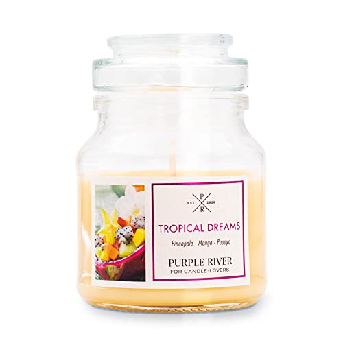 Purple River Kleine Duftkerze im Glas | Tropical Dreams | Duftkerze Fruchtig | Kerzen lange Brenndauer bis zu 40h | Duftkerze Sojawachs | Kerzen Gelb (113g) von Purple River Candle