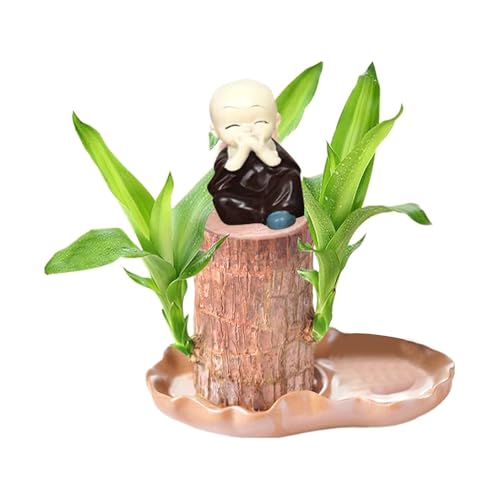 Pursuit-W Mini Glücksholz Brasilianisches Holzpflanze mit Mönchsstatuen Desktop Pflanze Brazilian Wood Plant Pflanzenstumpf Hydrokulturpflanze - Braun, 1 Stück, 1 Baumstumpf, 1 Tablett, 1 Puppe von Pursuit-W