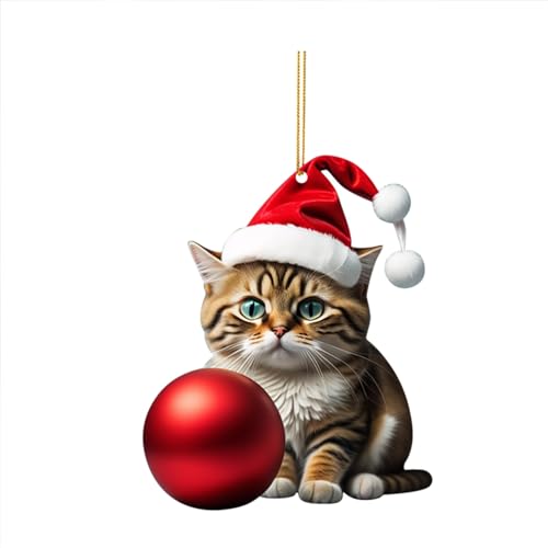 Weihnachtsbaum Deko Katzen Acryl Deko Weihnachten Lustige Weihnachtskugeln Weihnachtsbaum Basteln Weihnachten Baumkugeln Weihnachtsschmuck Christbaumschmuck Christbaumkugeln Auto (02-E, One Size) von Pursuit-W