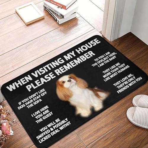 Fußmatte für den Innenbereich, strapazierfähig, Aufschrift "When Visiting My House Please Remember", rutschfest, schmutzabweisend, für Zuhause, Küche von PuseTaer